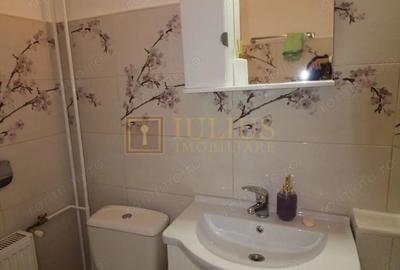 Garsoniera-Cetatii-Bogdanestilor-Balta Verde - 16