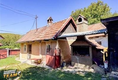 FILM! Doua case+anexe,rezidential/ comercial/de vacanta,Zagon,Covasna - 15