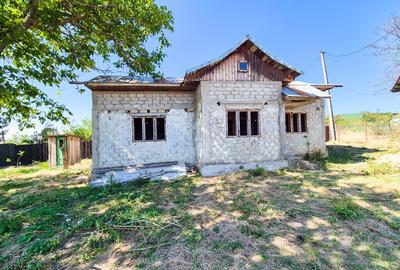 Casa, teren intravilan Negrasi Arges - 2