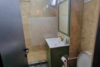 Apartament cu 3 camere decomandat în Ultracentral - 8
