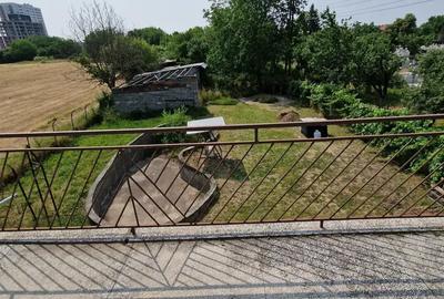 Mehala P-ta Mehala P-ta - 8