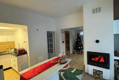 Casă în Muntele Băișorii