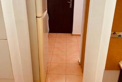 Garsonieră decomandată în Lacu - 3