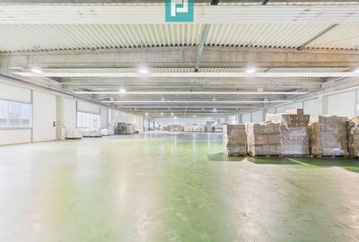 Hală industrială de 4.155 mp Calea Borșului - 18