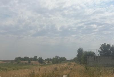 Teren extravilan 5000 mp, zona Pielesti - 2