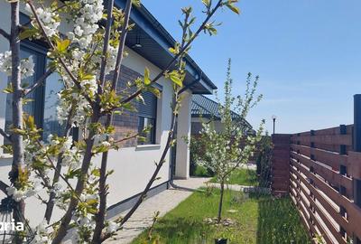 Casă cu 4 camere cu Teren 500 Mp în Corbeanca - 19
