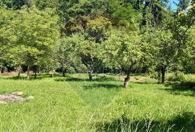 Casa / Vila cu 5 camere de vanzare - 14