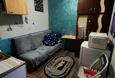 Inchiriez mini garoniera la parc monument - 1