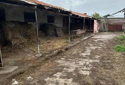 Depozit Grajd incomuna Tulca - 2