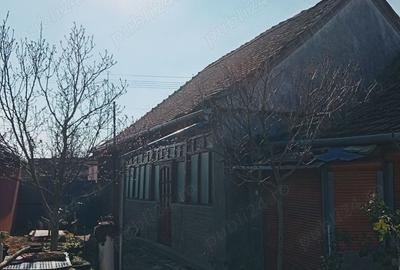 Casa Deta de vanzare. - 7