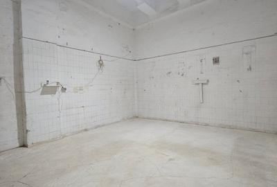 Spațiu industrial, în Splaiul Unirii - 2