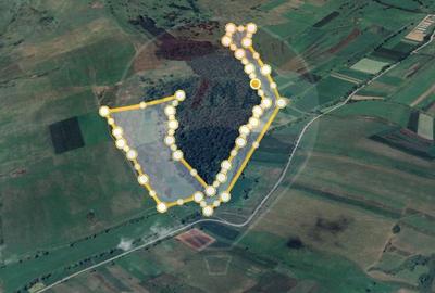 Teren agricol extravilan de 117100 mp, în Jibert - 2