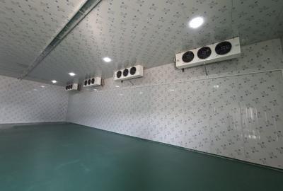 Spatii refrigorifice intre 100-200mp Afumati Spatii refrigorifice intre 100-200mp Afumati - 4