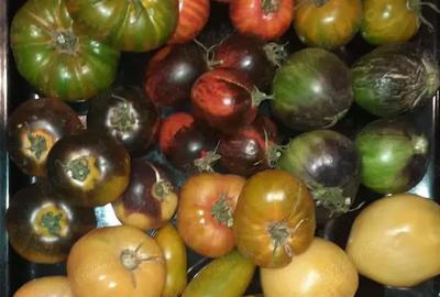 Casă cu 2 camere în Lilieci - 5