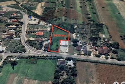 Teren de 3631 mp, în Mândrești-Munteni - 4