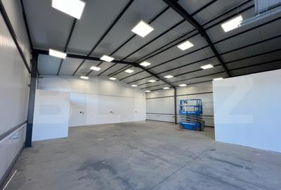 Hala 290,6 mp si 1263 mp teren, zona Carcea - 3