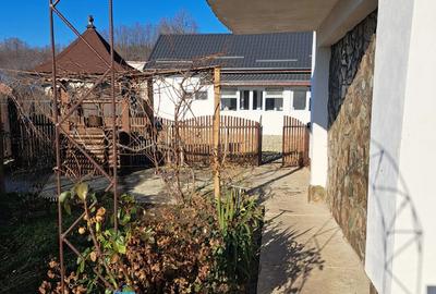 Casă cu 2 camere cu Teren 6000 Mp în Dobroteasa - 4