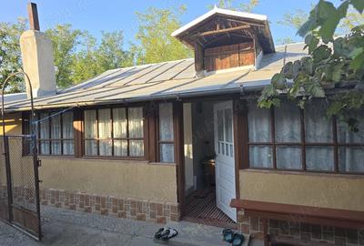 Casa la tara in Jud. Buzau - 8