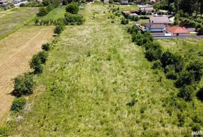 Teren de 4600 mp, în Bujoreni - 10