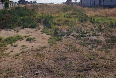 Spațiu comercial, în Malu Mare - 1