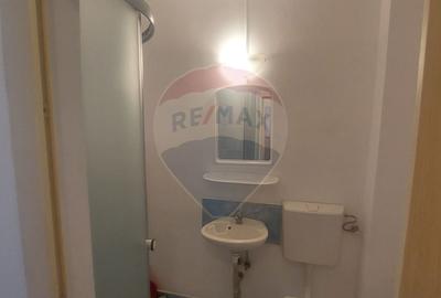 Apartament 1 camere de inchiriat in zona Buziasului - 7