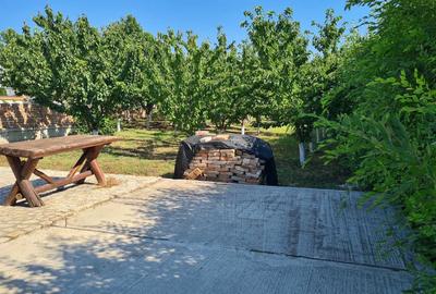 Teren in Sat Costi - 5