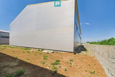 Spațiu comercial, de 440 mp, în Giarmata - 8