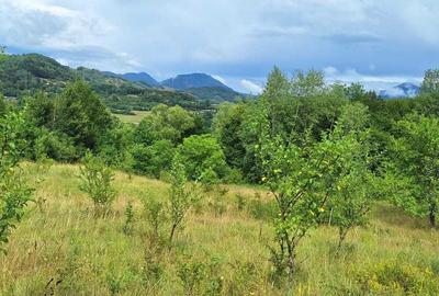 Spațiu comercial, în Ormindea - 7