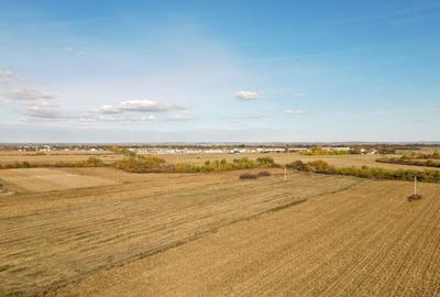 Bucovat - Lot Intravilan 2.27 Ha, PUZ inceput, Rezidentia... - 1