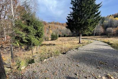 Teren Construcții intravilan de 5268 mp, în Zetea - 2