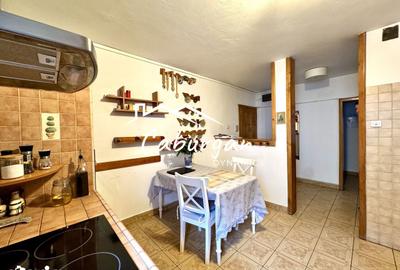 Apartament cu 3 camere decomandat, mobilat în Terezian - 9