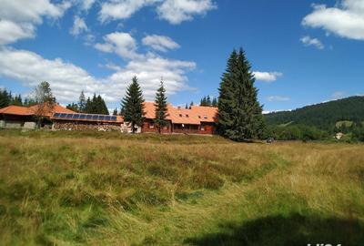 Teren de 5100 mp, în Central - 2