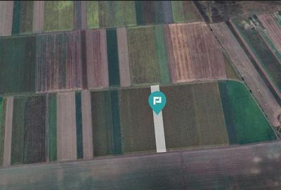 Teren extravilan de 14.500 mp în Caporal Alexa - 4