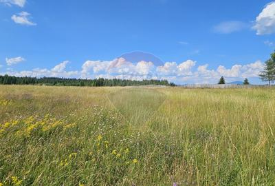 Teren partial intravilan 30,930 mp Poiana Stampei-DN E58, Suceava - 18