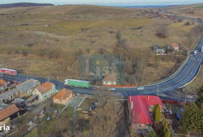 Teren de 7400 mp, în Căpușu Mare - 3
