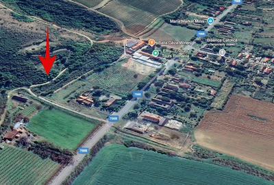 De vanzare teren 13,412mp Paulis - 3