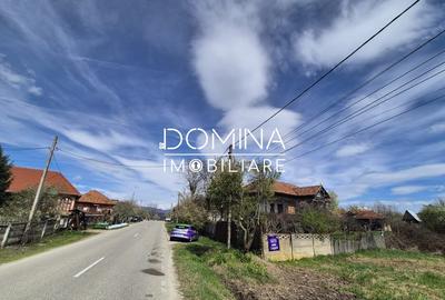 Teren Construcții de 6504 mp, în Curtișoara - 4