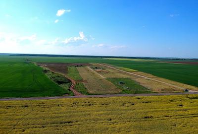Teren Construcții intravilan de 660 mp, în Frumușani - 6