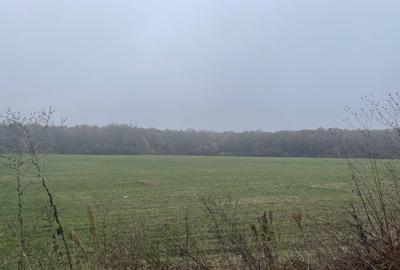 Teren Construcții intravilan de 9400 mp, în Tunari - 7