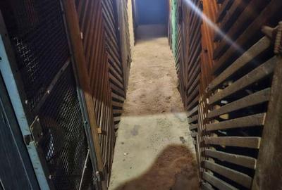 Apartament 2 camere | Parter | zona Bariera Postei-Bucov - 16