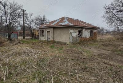 Casă cu Teren 4900 Mp în Tătăranu - 7