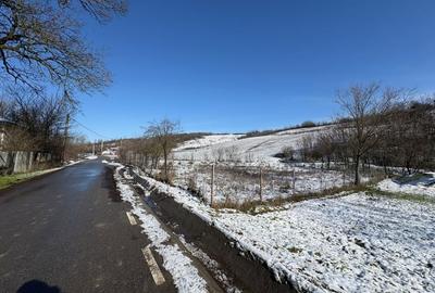 Teren Construcții intravilan de 1000 mp, în Ghercești - 2