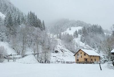 Spațiu comercial, în Sătic - 4