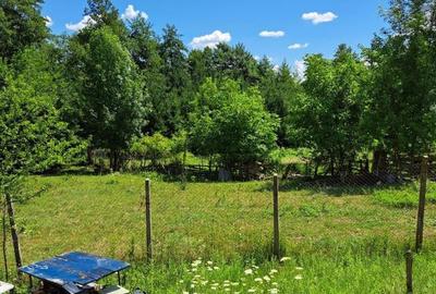 Spațiu comercial, în Bercești - 5