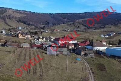 Spațiu comercial, în Barcani - 1