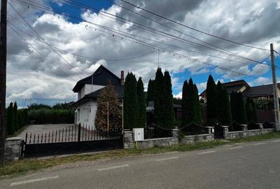 Casă individuală cu 3 camere în Cordun