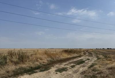 Mihailesti - Giurgiu Teren intravilan - 40.600 mp, deschidere 55 ml - 9
