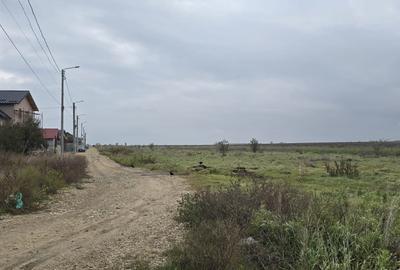Agigea  Teren cu utilitatii 1 ha cu 500 ml deschidere la strada Crinului - 4