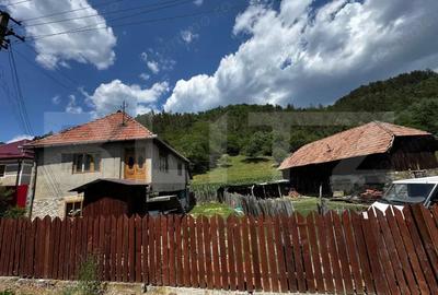 Casa demolabila/renovabila cu 6000 mp teren, Poiana Ampoiului - Metes