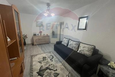 Apartament 2 camere str Birsei - 3